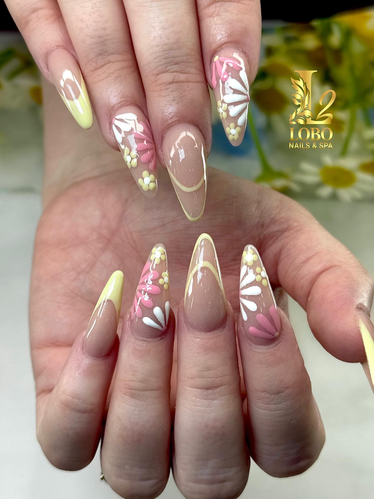 Lobo Nails & Spa 2